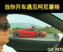 Gifpet Race GIF - Gifpet Race Cars GIFs