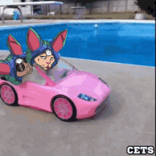 Cets On Creck GIF - Cets On Creck GIFs