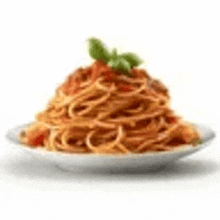 a plate of spaghetti with tomato sauce on a white background .