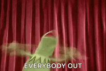 Kermit Ahhhhh GIF - Kermit Ahhhhh Freakingout GIFs