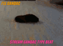 Gandac Ill Gandac GIF - Gandac Ill Gandac Gandac Type Beat GIFs