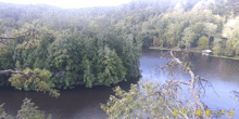 a lake surrounded by trees and a sign that says daytime on it