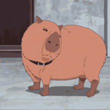 Capybara Anime GIF - Capybara Anime Cute Animals GIFs