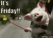 Pig Its Friday GIF - Pig Its Friday GIFs