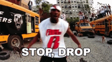 Stop Drop GIF - Stop Drop Dmx GIFs