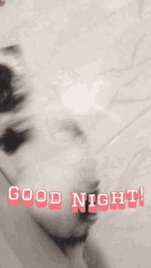 Good Night Good Night Patch GIF - Good Night Good Night Patch Good Night Patchie GIFs