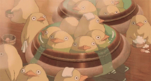 duck canard ente bird oiseau vogel animal gif anime animated animation tube  mignon animals animaux duck  canard  ente  bird  oiseau  vogel   animal  gif  anime 