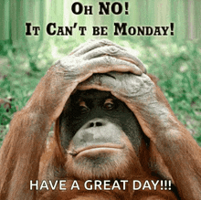 a monkey covering its face with its hands and the words oh no it can 't be monday have a great day !!!