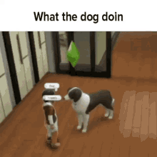Memes Dog GIF - Memes Dog Sims GIFs