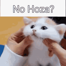 Hozza No Hozza GIF - Hozza No Hozza Zero Hozza Ovi GIFs