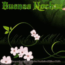 Buenas Noches Good Night GIF - Buenas Noches Good Night Flowers GIFs