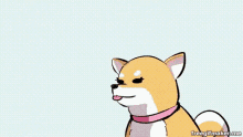 a shiba inu dog is holding a wooden bat on its head .