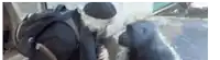 a man with a backpack is petting a dog while standing next to a window .