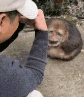 a person wearing a mask is looking at a monkey