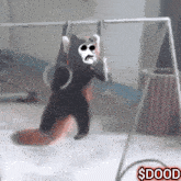 a picture of a bear hanging on a bar with the words $ dood written on the bottom