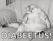 Diabeetus Diabetes GIF - Diabeetus Diabetes Fat GIFs