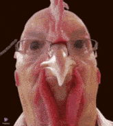a man wearing glasses and a chicken mask has a vidnoz logo on the bottom right