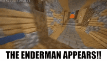 Enderman Minecraft GIF - Enderman Minecraft Appears GIFs