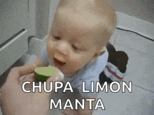 Lime Baby GIF