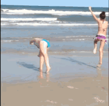 dog cartwheel fail beach scene