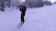 Carrying A Dog While Skiing Viralhog GIF - Carrying A Dog While Skiing Viralhog Skiing GIFs