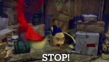 a cartoon penguin is standing in front of a sign that says stop !