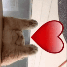 Cute Kitty GIF - Cute Kitty Cat GIFs