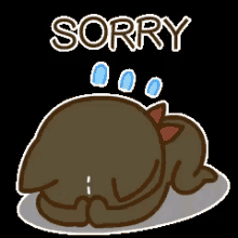 sorry apologize sad