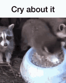 Cry Cry About It GIF - Cry Cry About It Masterjbt GIFs