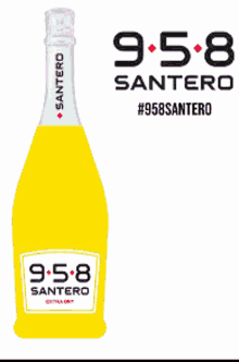 958 Santero GIF - 958 Santero Santero Wines GIFs