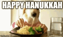 Holiday Hanukkah GIF - Holiday Hanukkah Happy Hanukkah GIFs