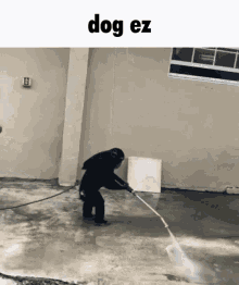 Dogez Monkey GIF - Dogez Monkey Washing GIFs
