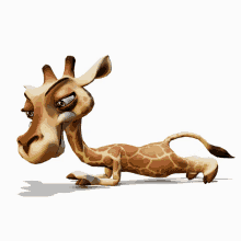 fitness girafe
