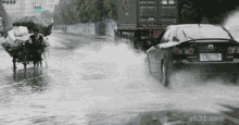 Splashed Flood GIF - Splashed Flood GIFs