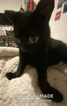 a black cat laying on a white blanket with the caption " bethany i made biscuits !!! "