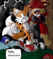 tails and shadow from sonic the hedgehog are fighting each other in a forest .