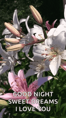 Flowers Images GIF