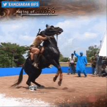 Ram Charan Magadheera GIF - Ram Charan Magadheera Horse GIFs