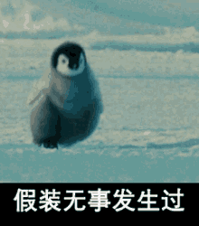 Penguin Cute GIF - Penguin Cute Cutepenguin GIFs