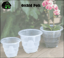 cystal air pots orchid mixes vanda baskets orchid bench clear orchid pots