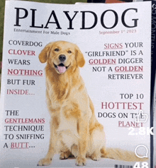 Playdog GIF - Playdog GIFs