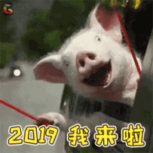 Happy New Year Lunar New Year GIF - Happy New Year Lunar New Year Chinese New Year GIFs