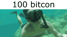 Bitcoin Bitcon GIF - Bitcoin Bitcon 100 GIFs