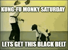 Monkey GIF - Monkey Monke GIFs