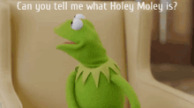 Holey Moley Kermit The Frog GIF