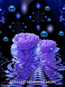 Flowers Water GIF - Flowers Water Reflection GIFs