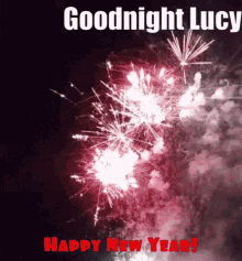 goodnight lucy happy new year happy new year2022 goodnight happy new year lucy