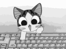 Gato Typing GIF - Gato Typing Cute GIFs