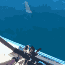 Mod City Dolphin GIF - Mod City Dolphin Ocean GIFs