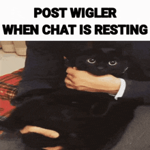 Post This GIF - Post This Wigler GIFs